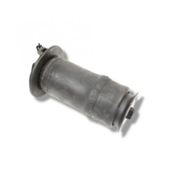 Air Spring Rear P38