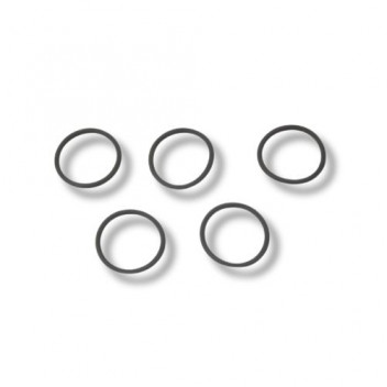 O/Ring Crank 300 Tdi