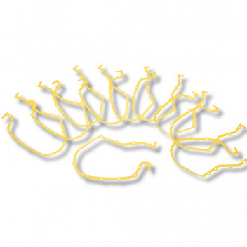 Gasket - Timing Housing - Disco 1/ Def 83-06/ RRC/ S2 & S2A / S3