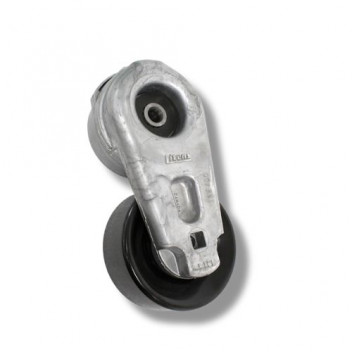 Tensioner Multi Belt Tdv6 Disco 3