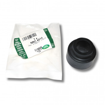 Bush Radius Arm (Rear Early) Genuine