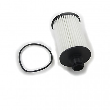 Filter Oil 5.0 Lt V8 2010 >