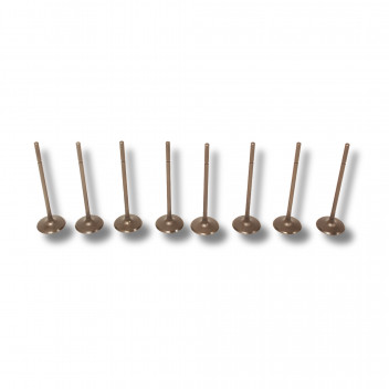 Valve Inlet 5.0 V8 S/Charged (Only)