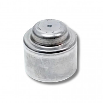 Bush Flywheel Spigot Puma 2.2 & 2.4