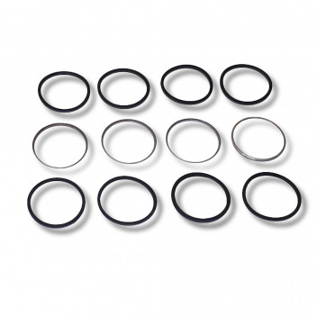 Kit Caliper Disco 1 (4 x Piston & Seals)