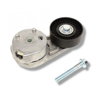 Tensioner Drive Belt 3.0/5.0 D4/5/BBR/EV