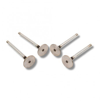 Valve Exhaust 300 Tdi