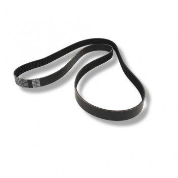 Belt Drive Tdv8 R/R Sport (Primary)