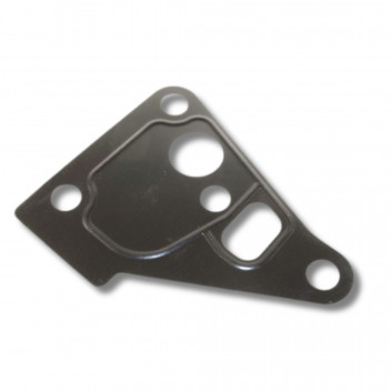 Gasket Fuel Reg Td5 10P