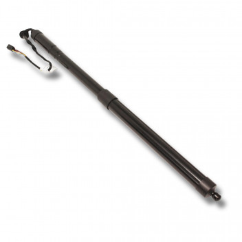 Strut Tailgate R/R/Sport Powered 10-13