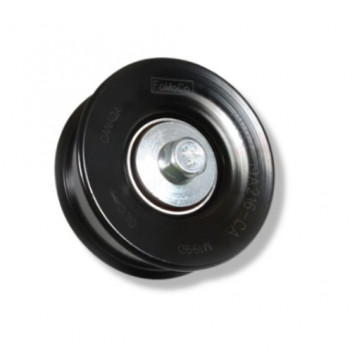 Idler Lower Primary 4.2 4.4V8 2.4 Puma