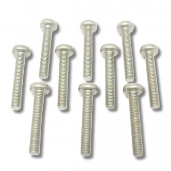 Screw Door Hinge Long 5th Door (Late)