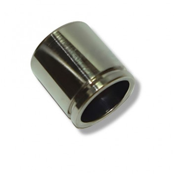 Caliper Piston D2 Rear (2)