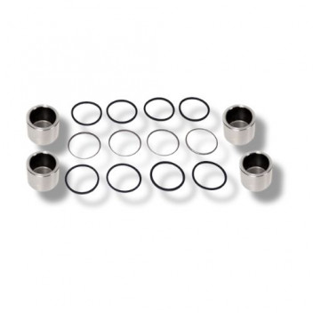 Caliper Kit Front D1