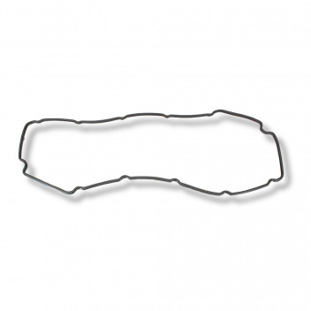 Gasket Cam Cover Puma