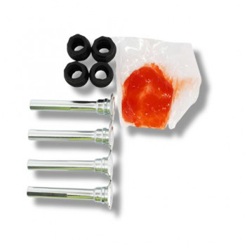 Caliper Guide Pin Kit Front D2 & P38