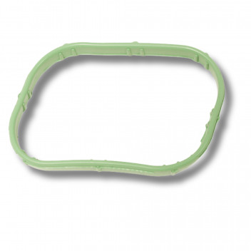 Seal Inlet Manifold 5.0 V8