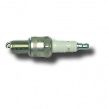 Spark Plug 2.25 & 2.5 Petrol N9YC