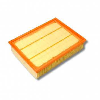 Filter - Air – 300Tdi - D1/RRC