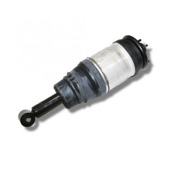 Shock Airbag Rear D3