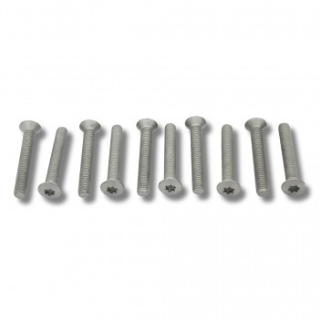 Screw Door Hinge Long Def (Late)