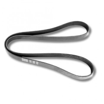 Belt 300 Tdi 95< 7Pk1595