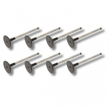 Valve Exhaust 5.0 V8 N/A & S/C