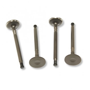 Valve Exhaust 3.9 V8