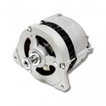Alternator 300 Tdi/Def