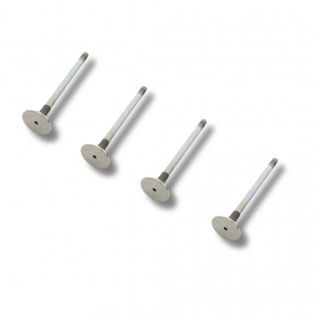 Valve Exhaust 2.7/3.0/3.6/4.4