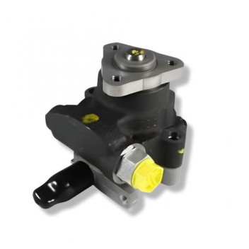 Pump Power Steering V8 D2