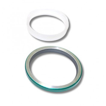 Seal Oil Rear Main 200Tdi & 2.5 Pet