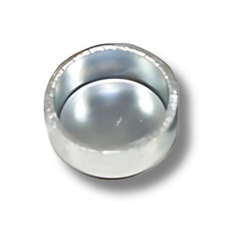 Cup Plug Cyl Head V8