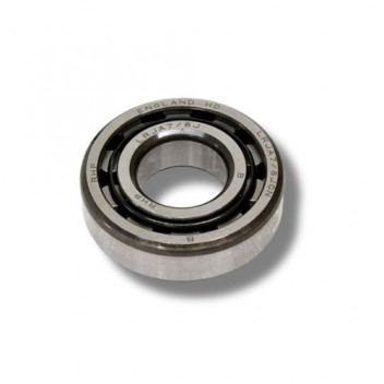 Bearing G/Box Layshaft Rear S111