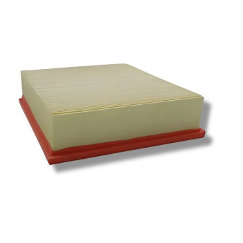 Filter Air Td5 & Disco2 V8