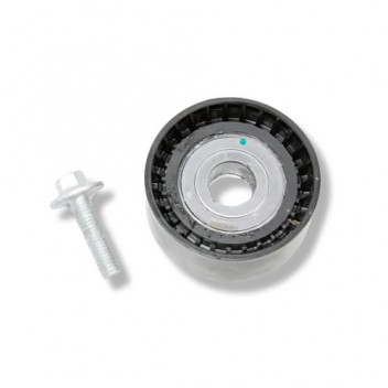 Idler Pulley X 1 Evoque 2.0 (Petrol)