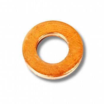 Washer Injector Puma