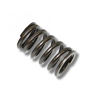 Valve Spring All V8S