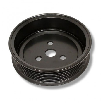 Pulley W/Pump 300 Tdi