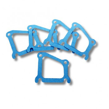 Gasket Thermo Hsg 300 Tdi