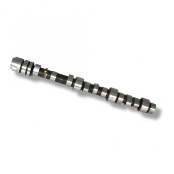 Camshaft 300 Tdi