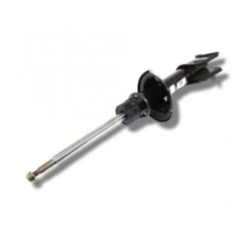 Shock Rear R/H F1 1A up
