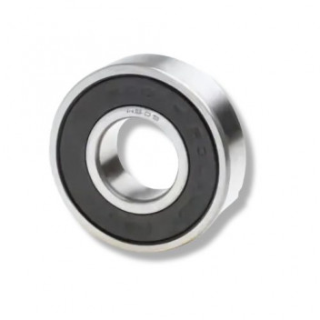 Bearing Fan 2.4 Puma