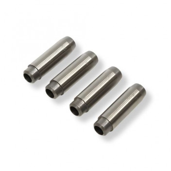 Guide Valve In & Ex 300Tdi/200