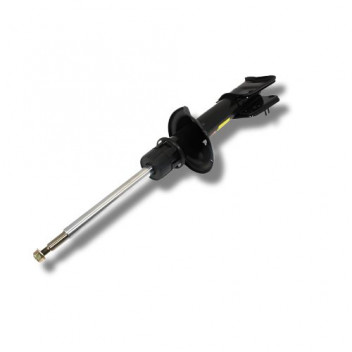 Shock R/H Rear F1 >Ya