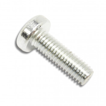 Screw Door Hinge Short 5th Door (Late)