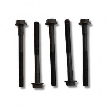 Bolt Cylinder Head 300 Tdi [10]