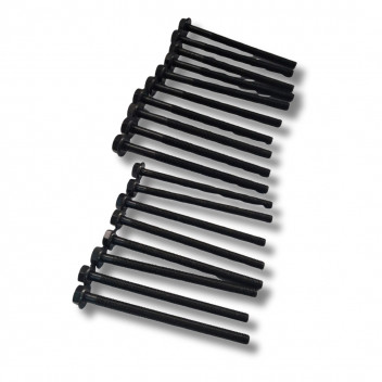 Bolt Cyl Head Set Puma 2.2