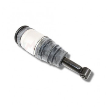 Shock Airbag Rear D3