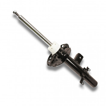 Shock Absorber Rear L/H Free 2